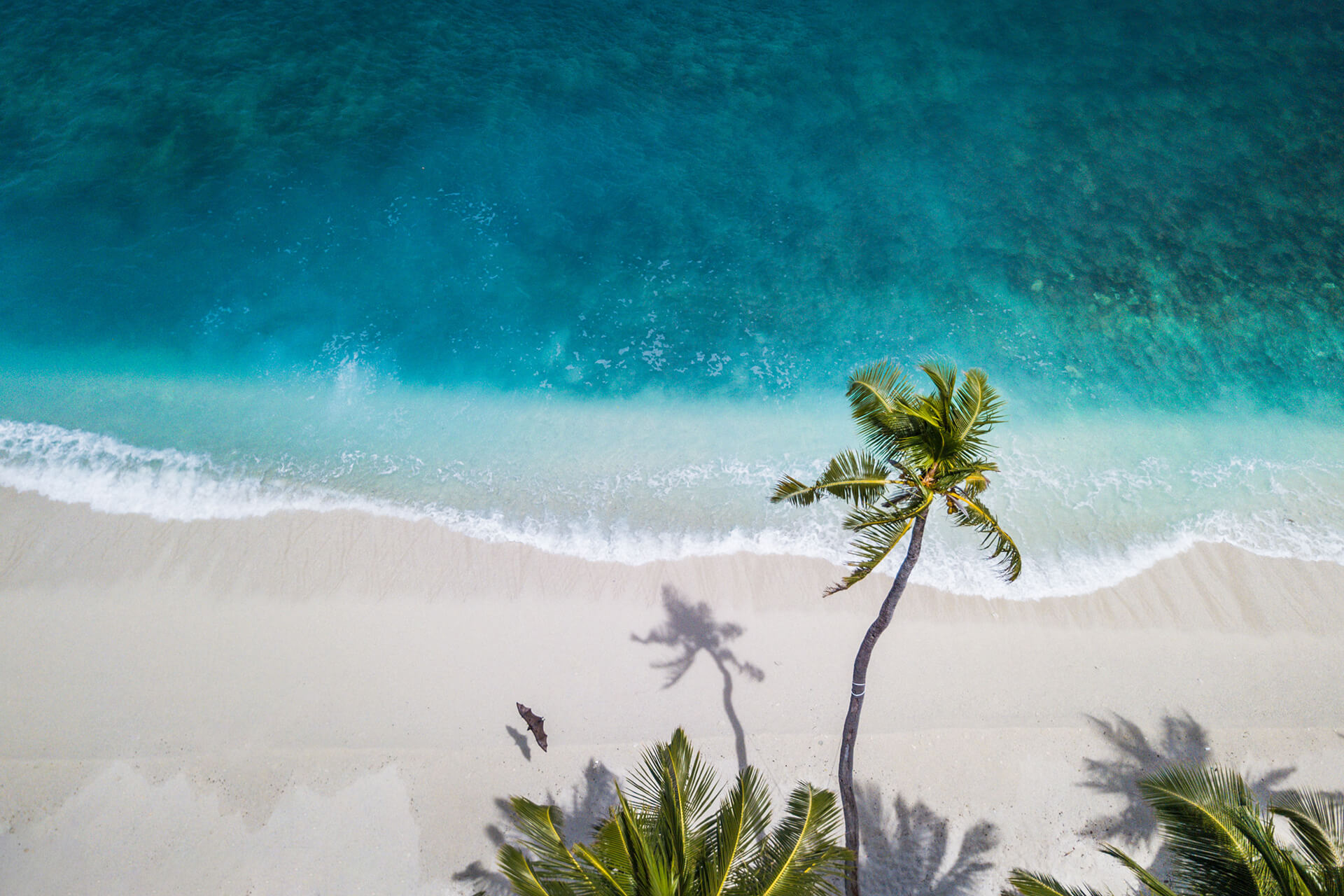5 coisas para não deixar de fazer em Miami